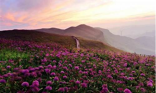 六盘水韭菜坪旅游攻略_六盘水韭菜坪游玩攻略