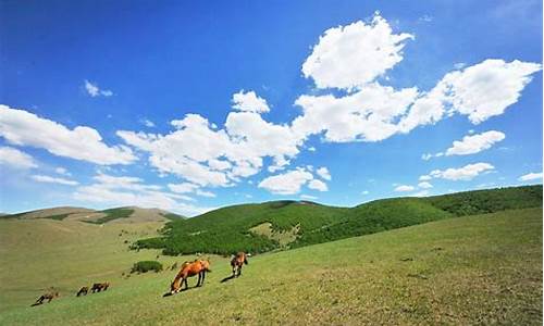 丰宁坝上草原旅游攻略2天需要多少钱_丰宁坝上草原旅游攻略2天