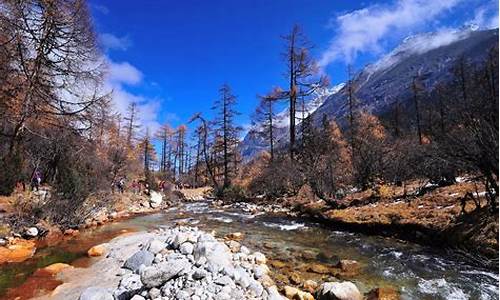 四川旅游景点毕鹏勾_四川游玩攻略必去景点