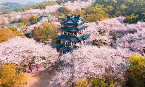 无锡景点排行榜前十名景点_无锡市十大景点