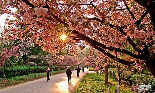 花溪公园旅社_花溪公园旅社价格