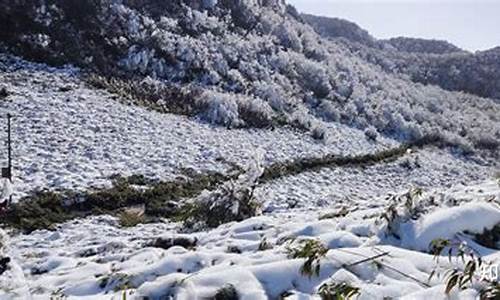 重庆到金佛山路线怎么走的呀多少公里_重庆到金佛山路线怎么走的