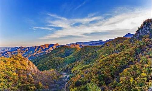 杜鹃山原始森林公园_杜鹃山原始森林公园在哪里