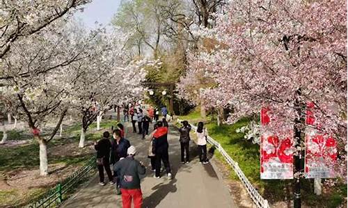 玉渊潭公园樱花节门票_玉渊潭公园樱花节门票价格