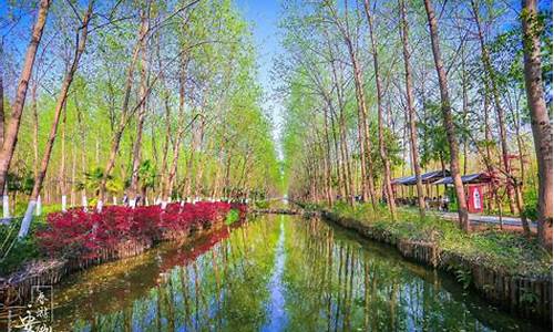 合肥滨湖湿地公园怎么样_合肥滨湖湿地公园怎么样啊