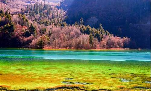 四川九寨沟旅游价格_四川九寨沟旅行