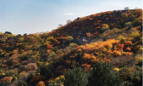 北京森林公园开放时间_北京森林公园旅游观光年票