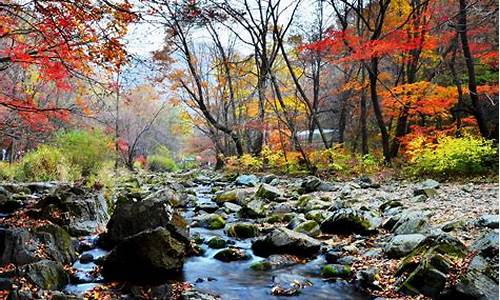 辽宁关门山国家森林公园_辽宁关门山旅游攻略最新