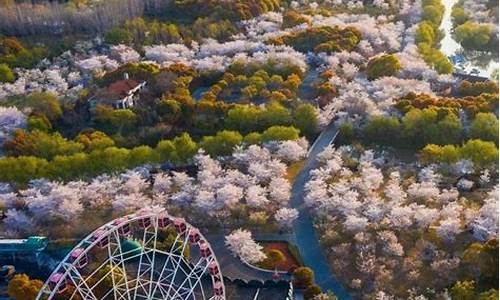 情侣适合去的旅游地方_最美情侣