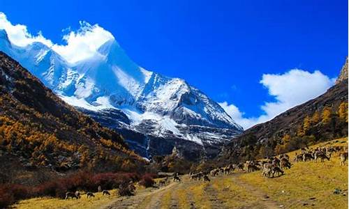 稻城亚丁旅游攻略五日游_稻城亚丁旅游最佳路线6日游