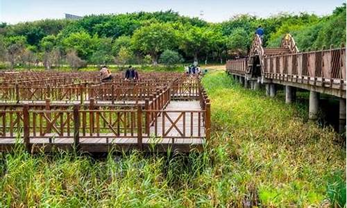 厦门带孩子旅游必去十大景点_厦门最适合带孩子去玩的景点