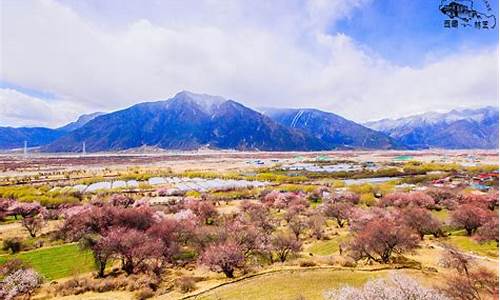 林芝旅游攻略必玩的景点_林芝旅游攻略自由行