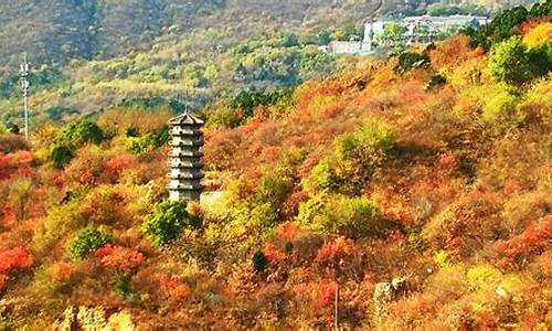 北京西山公园在哪_北京西山公园在哪儿