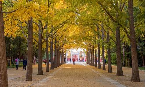 北京地坛公园车展_北京地坛公园车展时间