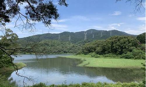 厦门天竺山森林公园鸳鸯溪